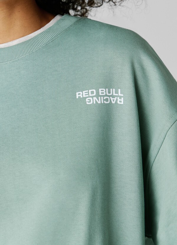 REGULAR FIT CREW NECK SWEATSHIRT