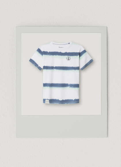 REGULAR FIT STRIPED T-SHIRT