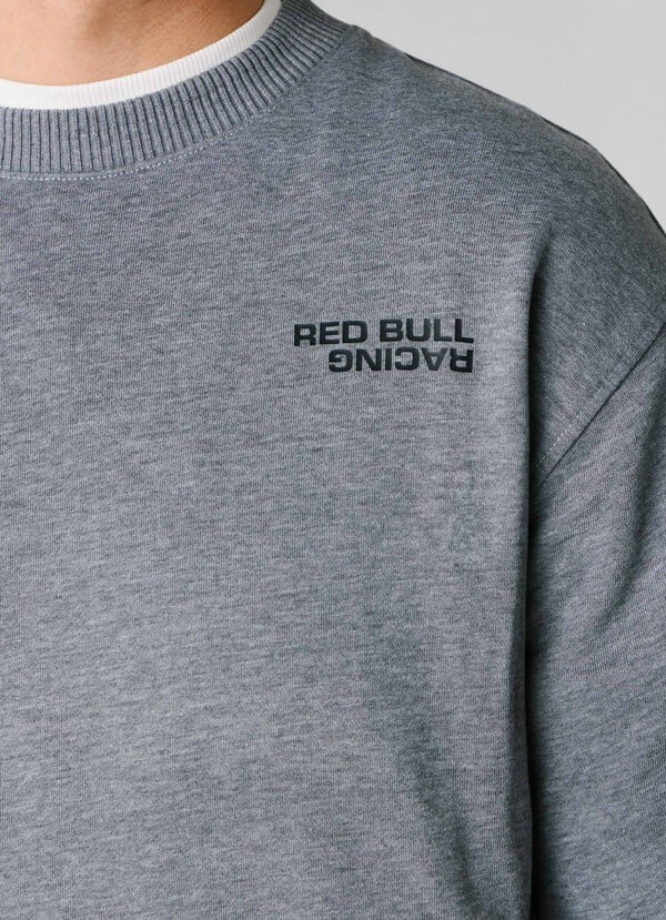 REGULAR FIT CREW NECK SWEATSHIRT