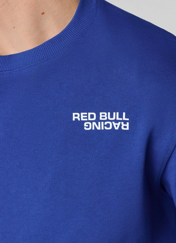 REGULAR FIT CREW NECK SWEATSHIRT